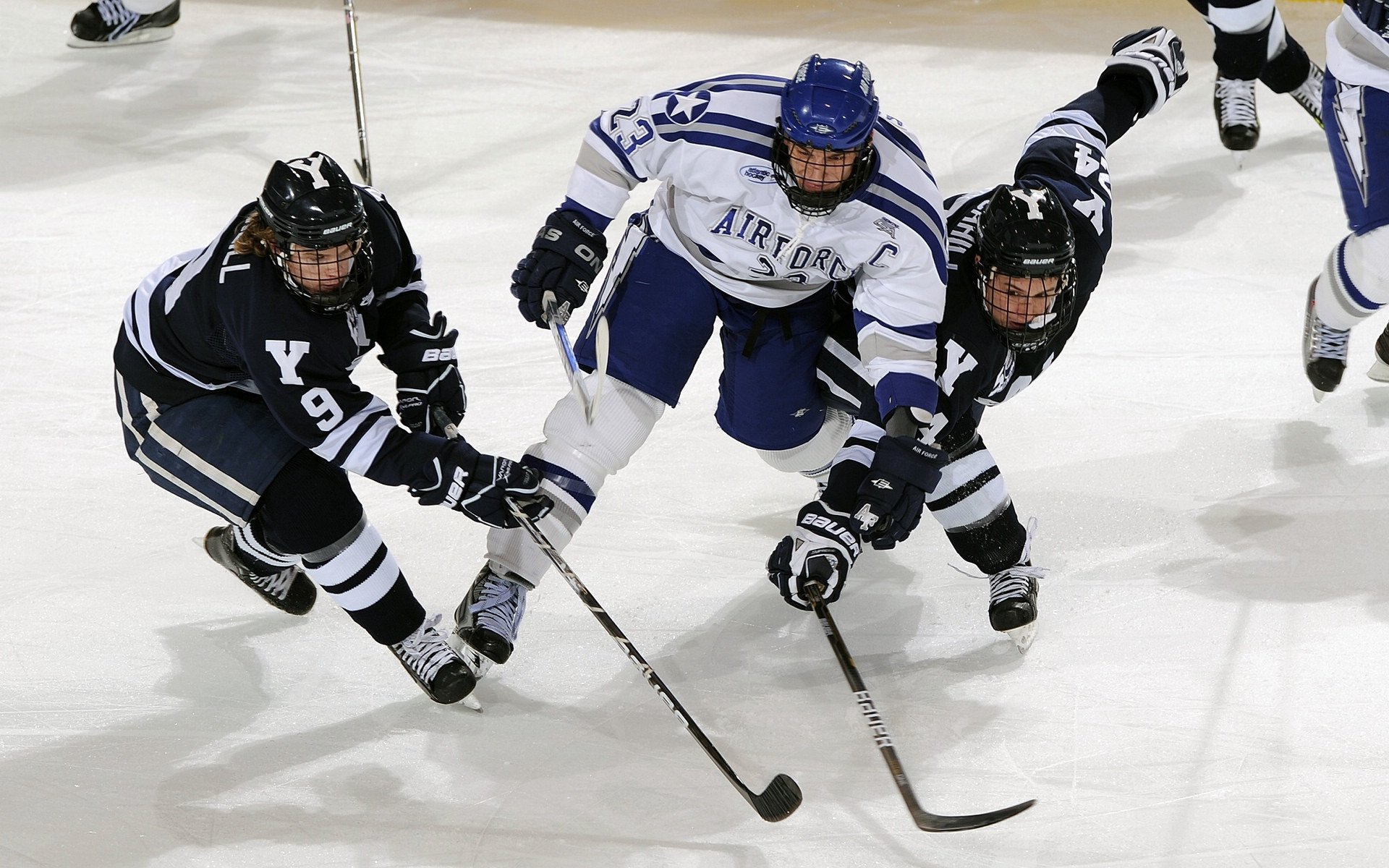 绝境中的蜂鸣，文班亚马制胜一击，黄蜂压哨逆袭老鹰